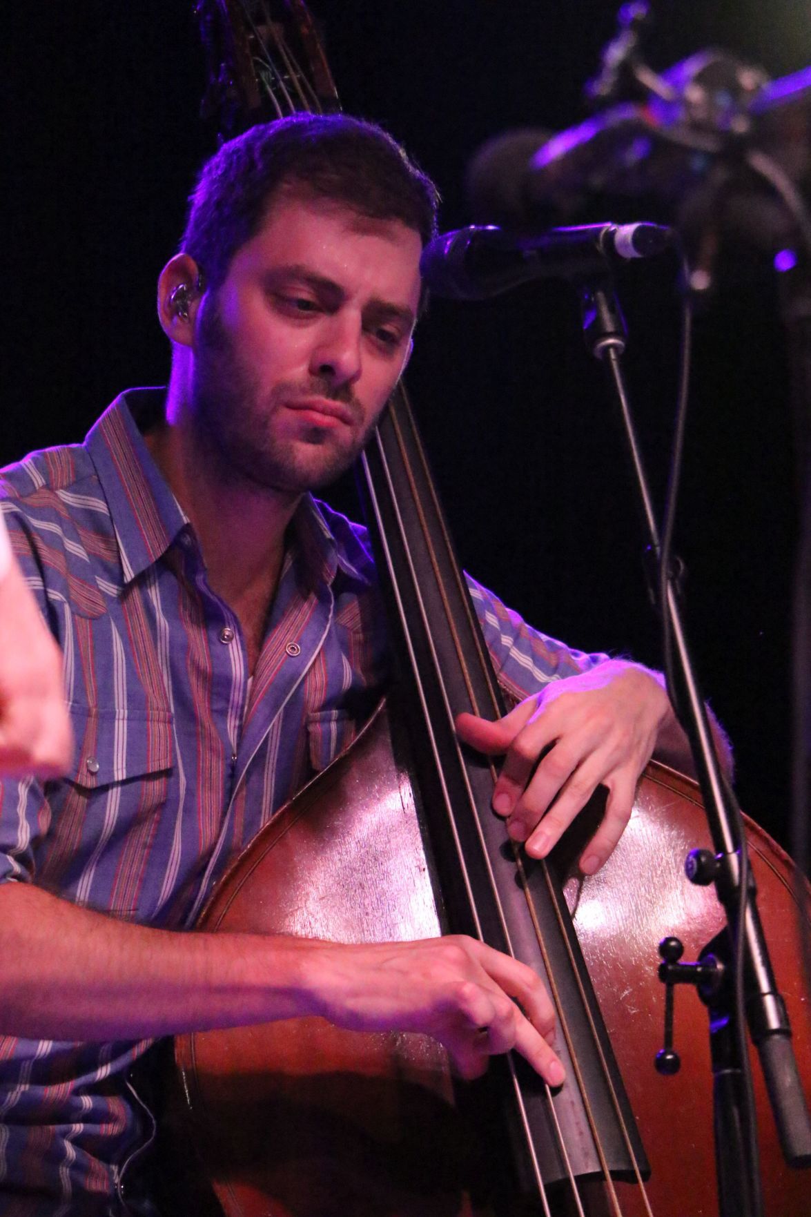 Bluegrass & Chili Festival